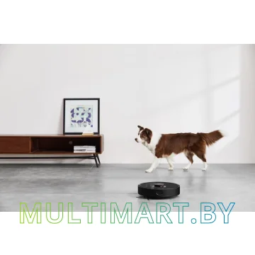 Робот-пылесос Xiaomi Robot Vacuum S10T STFCR01SZ (европейская версия, черный) картинка 13